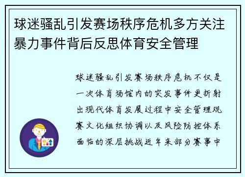 球迷骚乱引发赛场秩序危机多方关注暴力事件背后反思体育安全管理